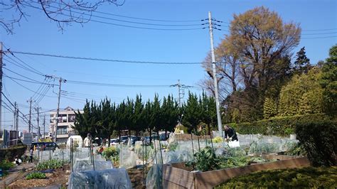 秋池農園|秋池農園 (埼玉県上尾市地頭方 農場)